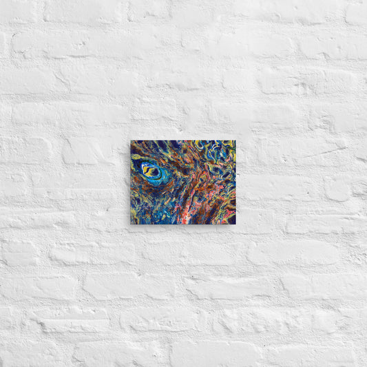 Melted Peacock Eye (Canvas Print)